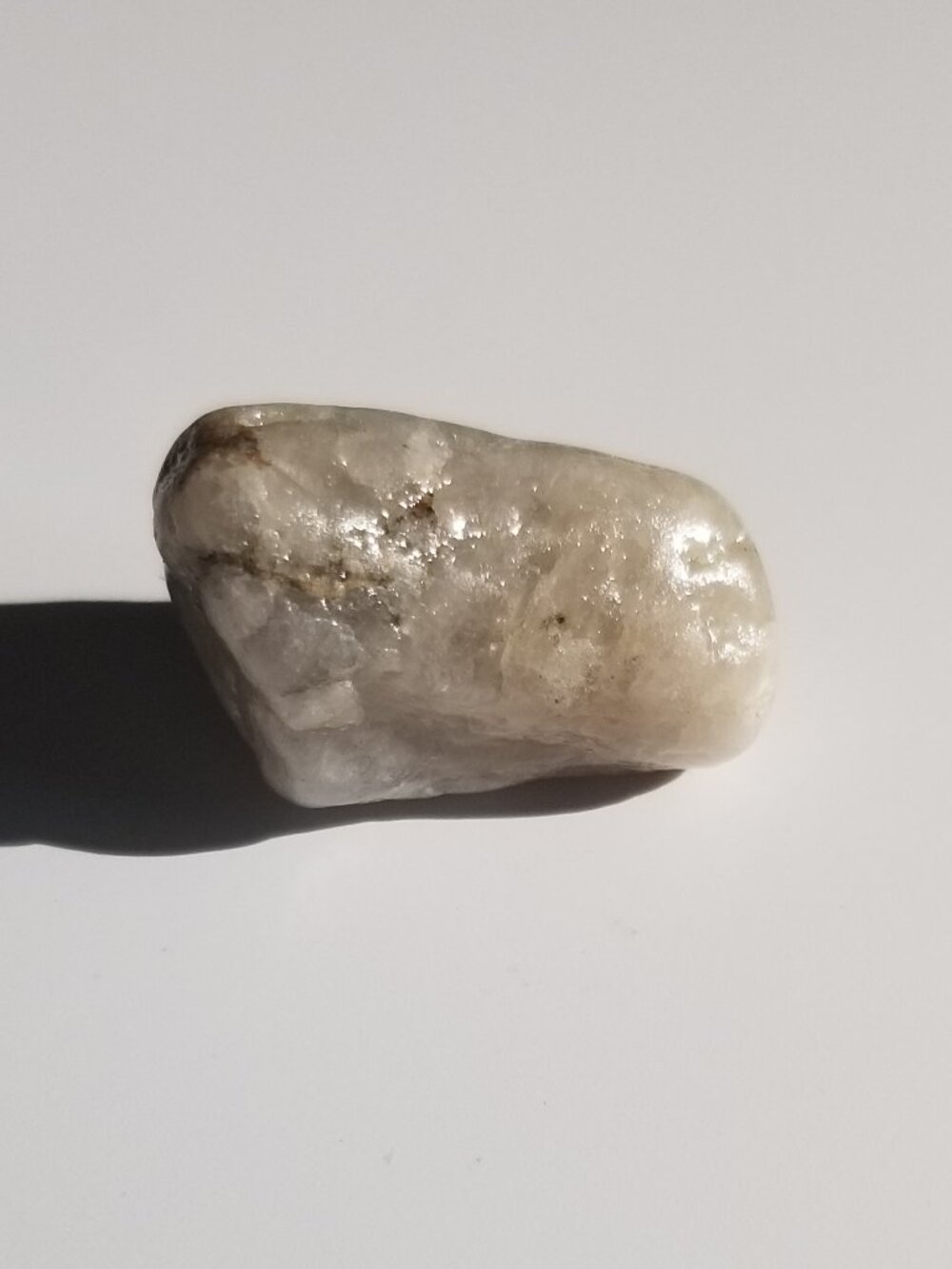 Varnished Rock Specimen - Included Milky Quartz, Small